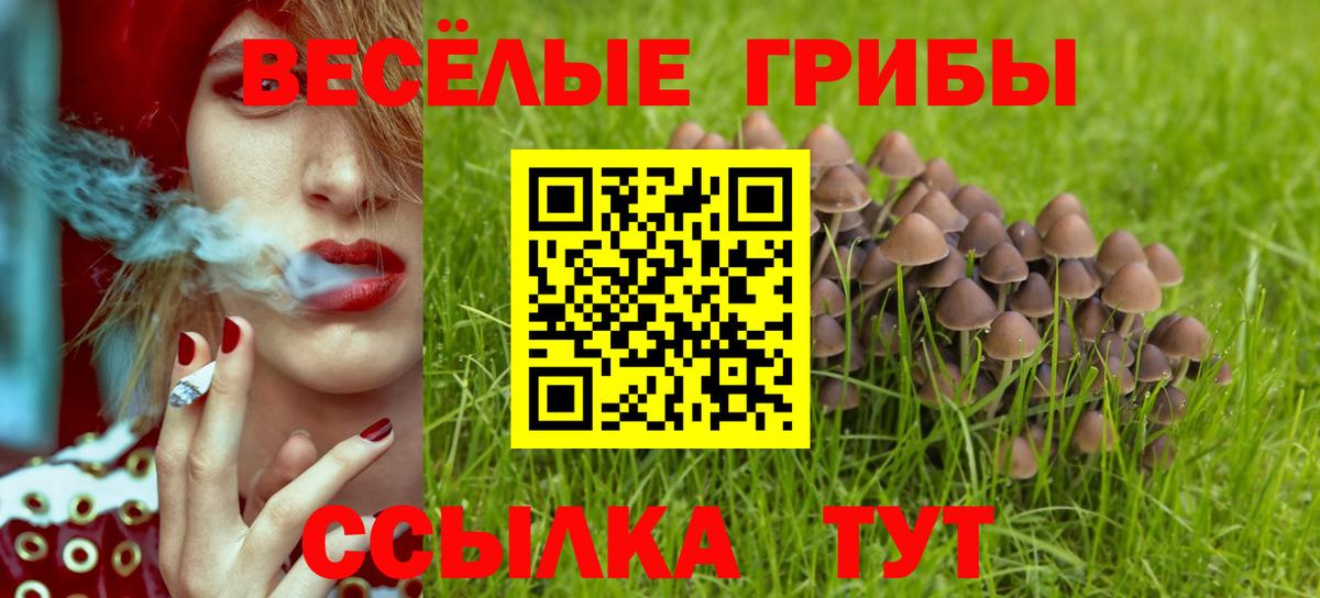 Псилоцибиновые грибы Psilocybe Шебекино