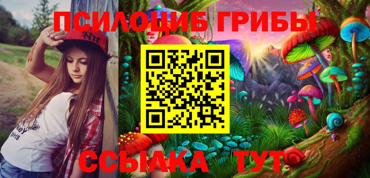 Шебекино  закладки  Вход с VPN  Галлюциногенные грибы Magic Shrooms  Псилоцибиновые грибы мухоморы 